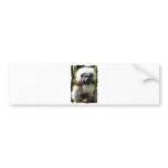 Cute Monkey Bumper Stickers