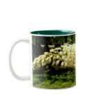 cute mug 15oz coelogyne multiflora