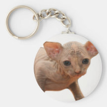 Cute newborn sphynx kitten key chains