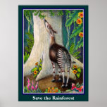 Cute Okapi Save the Rainforest