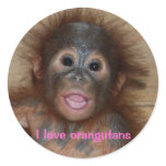 Cute orangutan baby round sticker