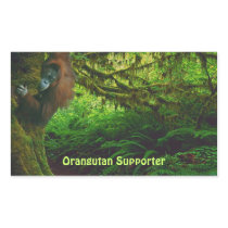 Cute Orangutan Playing in the Jungle Stickers
