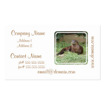 Cute Otter Business Cards