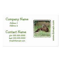 Cute Otter Business Cards