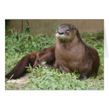 Cute Otter Greeting Card