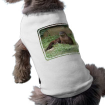 Cute Otter Pet Shirt