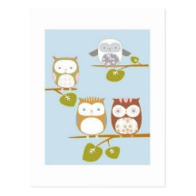 Cute owl postcard