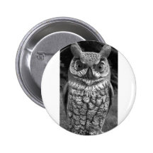 Cute Owl Statue Button