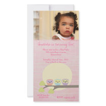 Cute Owls Girls Pink Birthday Party Photo Card