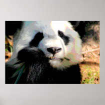 Cute Panda Bear Print