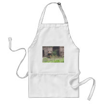 Cute Panda Eating Bamboos In His Cage At Zoo. Aprons