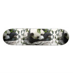Cute Panda  Skateboard