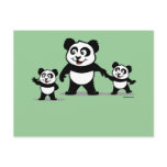 Cute Panda With Two Babies Post Cards