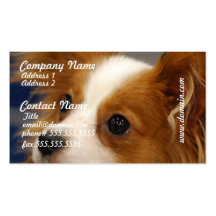 Cute Papillon Dog Business Cards