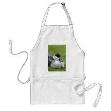 Cute paradise duckling aprons