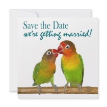 Cute Parrot Love Birds Tropical Save the Date Custom Announcements