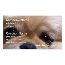 Cute Pekingese Puppy Business Cards