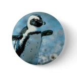Cute Penguin Pins