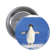 Cute Penguin Button