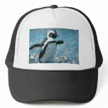 Cute Penguin Mesh Hat