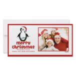 CUTE Penguin Joy Merry Christmas Family Photo Card