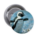 Cute Penguin Pins