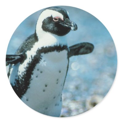 Cute Penguin Round Stickers by alternateworlds
