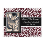 CUTE Picture Photo Save the Date Post Card