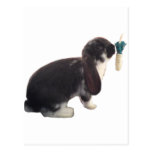Cute Pika Bunny - Rabbit Bunnies Adorable Post Card