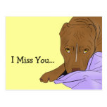 Cute Pit Bull in a Blanket - Line Art Portrait Post Card