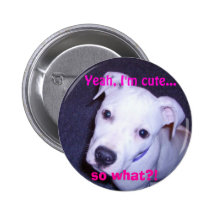 Cute Pit Bull Pin