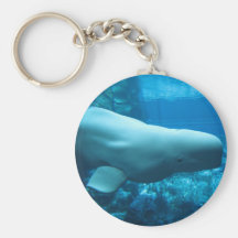 Cute Playful Beluga Whale In Aquarium At Georgia Key Chain