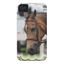 Cute Pony iPhone 4 Covers
