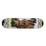 Cute Pony Skateboard