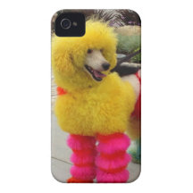 Cute Poodle iPhone 4 Case