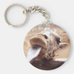 Cute Pose By Giraffe Keychains