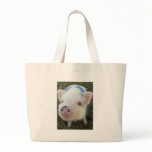 Cute Pot Belly Pig Bags