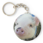 Cute Pot Belly Pig Keychain