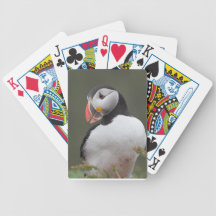 Cute Puffin Card Decks