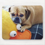 Cute Puggle Mousepad