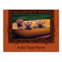 Cute Puppies Greetings postcards