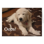 Cute puppy - create your own gifts cards