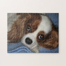 Cute Puppy Dog Jigsaw Puzzle