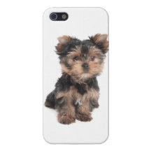 Cute puppy iPhone 5 cover