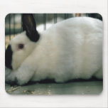 Cute Rabbit Mousepad