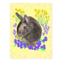 Cute Rabbit Photo and flowers Post Card