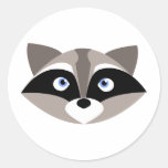 Cute Raccoon Face Stickers