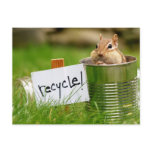 Cute Recycling Chipmunk Post Cards