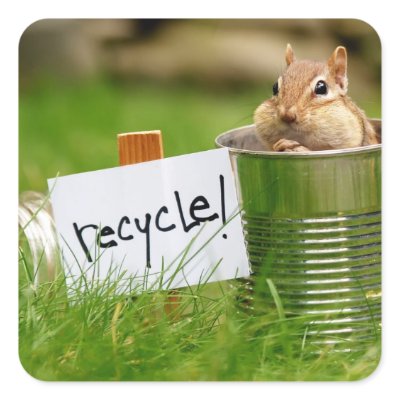 Cute Recycling Chipmunk Square Stickers by Meg_Stewart