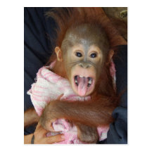 Cute Red Hair Baby Sticks Out Tongue Postcards